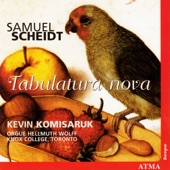 Tabulatura nova, SSWV 137: Alamande / Also gehts also stehts (7 variations) artwork