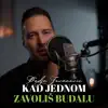 KAD JEDNOM ZAVOLIS BUDALU