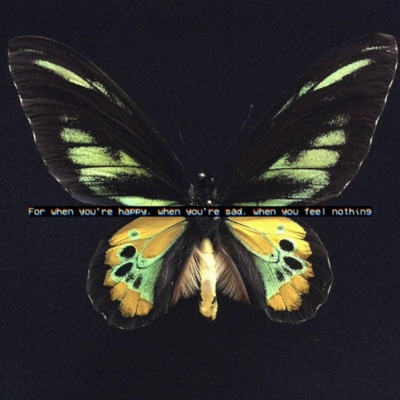 For When You're Happy, When You're Sad, When You Feel Nothing - EP