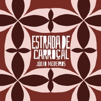 Estrada de Carroçal (feat. Mestrinho, Sandro Haick, Adelson Viana & Climerio) - Single - Júlio Medeiros