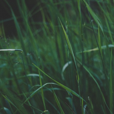 Sound Grants - Single