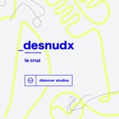 Desnudx (Acustico) artwork