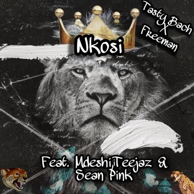 Nkosi (feat. Mdeshii, Teejaz & Sean Pink) - Single