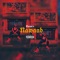 Nawaab - TARAN lyrics