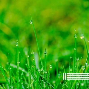 Rain Relaxation
