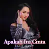Lala Widy - Apakah Itu Cinta