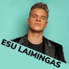 Esu Laimingas - Single