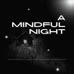 A Mindful Night