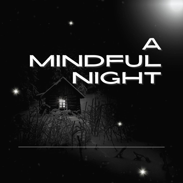 A Mindful Night