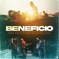 Beneficio - Single - Shei ZNP, Purini Madness & Pgj