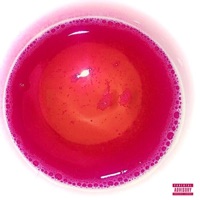 Papavero - Single - Dot Valentino