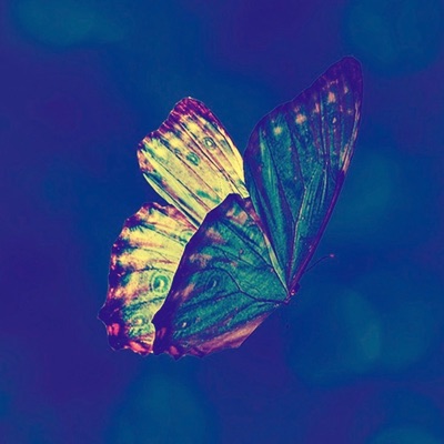 Emergence - Single