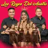 Los Reyes Del Austro - No La Puedo Olvidar Mix