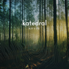 Katedral - Arvid