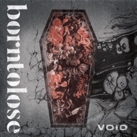 Void (feat. Synrr) - Single - borntolose