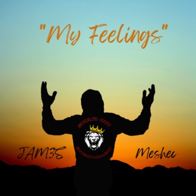 My Feelings (feat. JAM3S) - Single