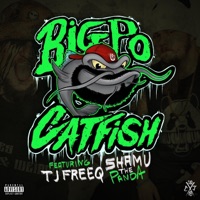Catfish (feat. T.J. Freeq & Shamu The Panda) - Single - BIG PO