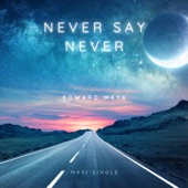 Never Say Never (Maxi Single) - EP artwork