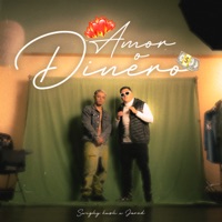 Amor o Dinero - Single - Swighy Kush & Jared