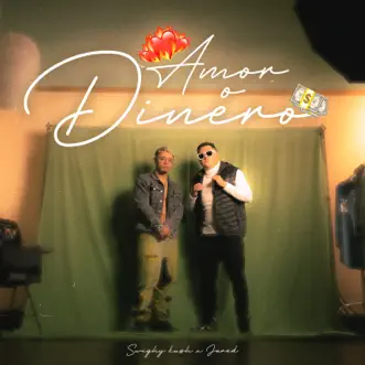 Amor o Dinero by Swighy Kush & Jared song reviws