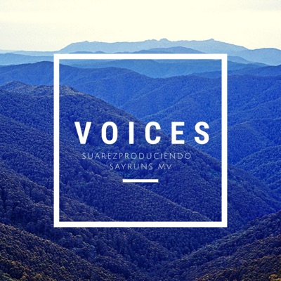 Voices - Single
