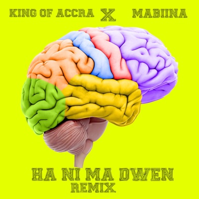 Ha Ni Ma Dwen Radio Edit (feat. MABIINA) [Remix] [Remix] - Single
