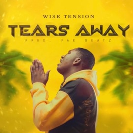 tears away Wise Tension