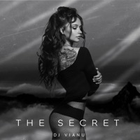 The Secret - Single - Dj Vianu