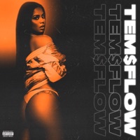 Tem$ Flow - Single - Stargiela