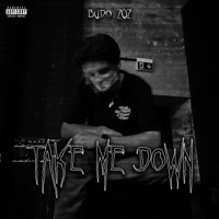 Take Me Down - Single - Budo202