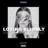 Loving Blindly (Ordisii Remix) - Single - Vaindi
