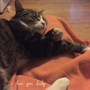 I Love You Baby (Can't Take My Eyes Off You) - Single