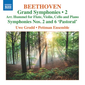 Symphony No. 2 in D Major, Op. 36 (Arr. J.N. Hummel for Flute & Piano Trio): I. Adagio molto - Allegro con brio