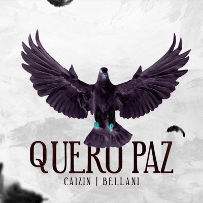 QUERO PAZ (feat. Caizin MC) - Single