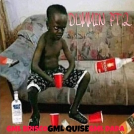 Dummin Pt. 2 (feat. GML Quise & GML Dada) Gml Brisco