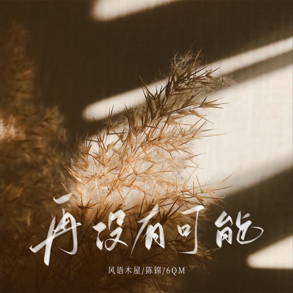 再没有可能 - Single