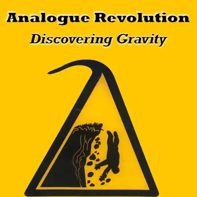 Ouça Discovering Gravity de Analogue Revolution.