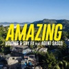 Amazing (feat. Agent Sasco (Assassin)) - Single