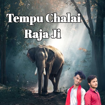 Tempu Chalai Raja Ji (feat. Sudhakar Bihari) - Single