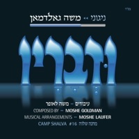 משה גאלדמאן - אבינו מלכנו