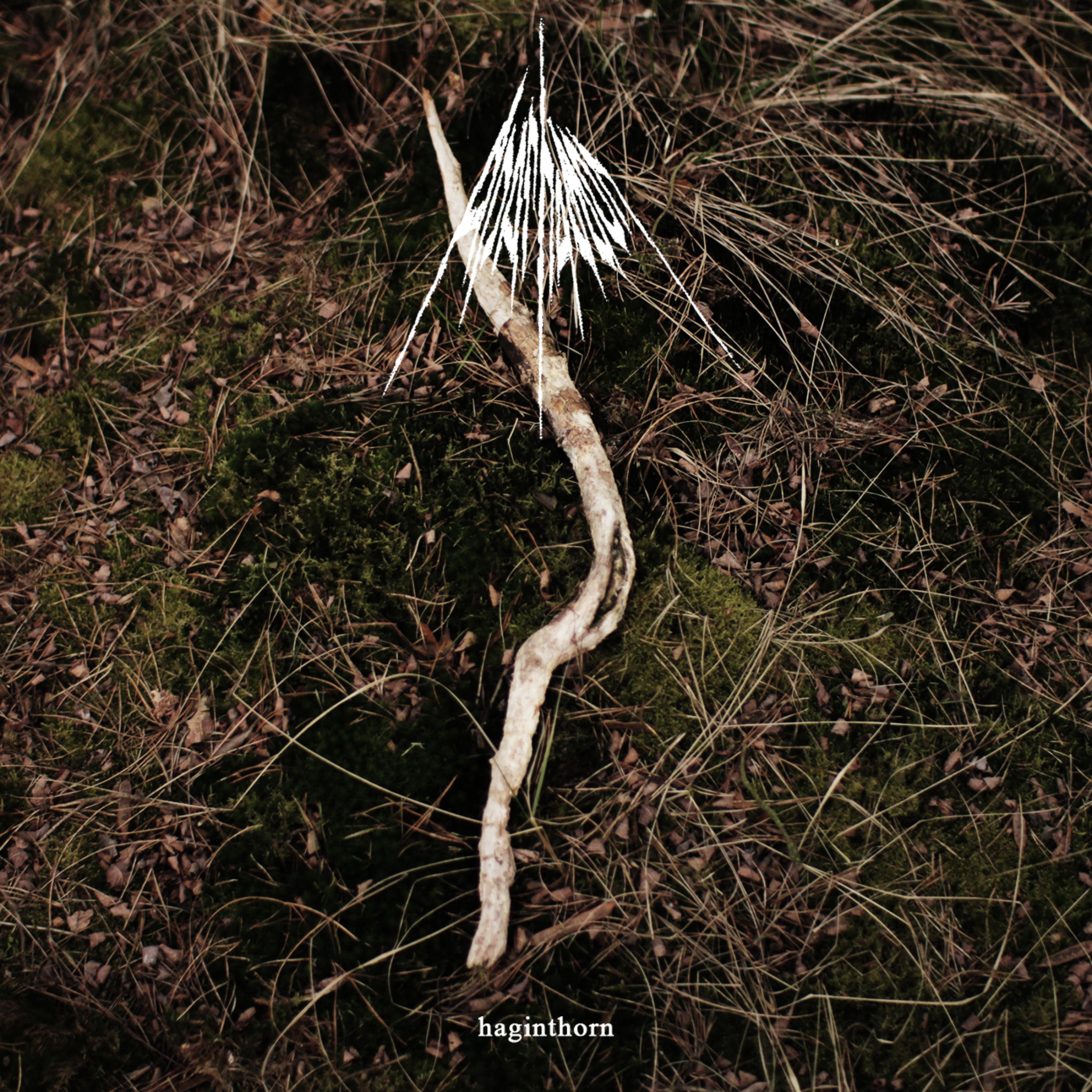 Haginthorn - Single