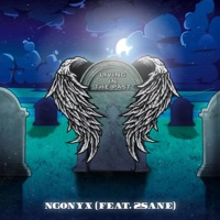 Living In the Past (feat. 2Sane) - Single - NgOnyx
