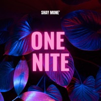 One Nite - Single - Shay Mone'