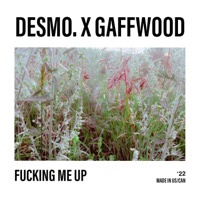 F*****g Me Up - Single - Desmo. & Gaffwood