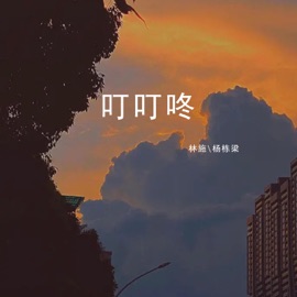 叮叮咚 林施 & 杨栋梁