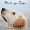 Music for Dogs: Soft Sounds to Relax Your Canine
