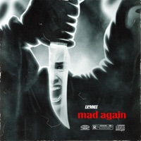 Mad Again - Single - Lil9inee