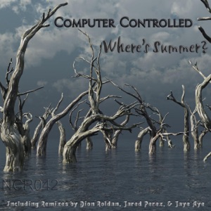 Where's Summer? (Dion Roldan's Dub Rerub Remix)