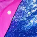 Wissant