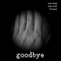 Goodbye - Single - Tom Wolf, Tom Stem & Flamey